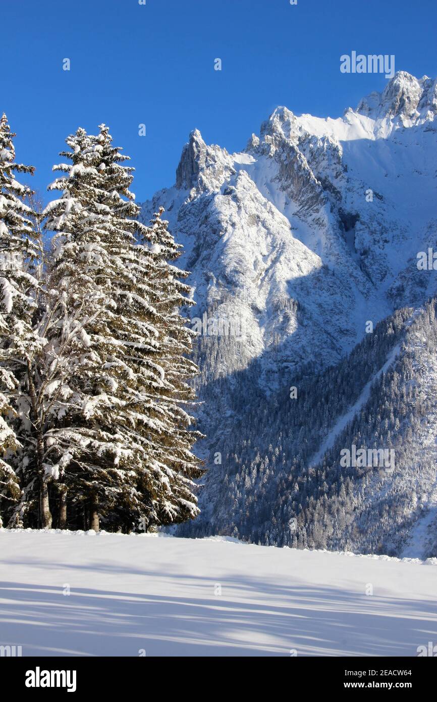 Winterwald vor dem Karwendelgebirge, Mittenwald, Werdenfelser Land, Oberbayern, Bayern, Süddeutschland, Deutschland, Europa Stockfoto