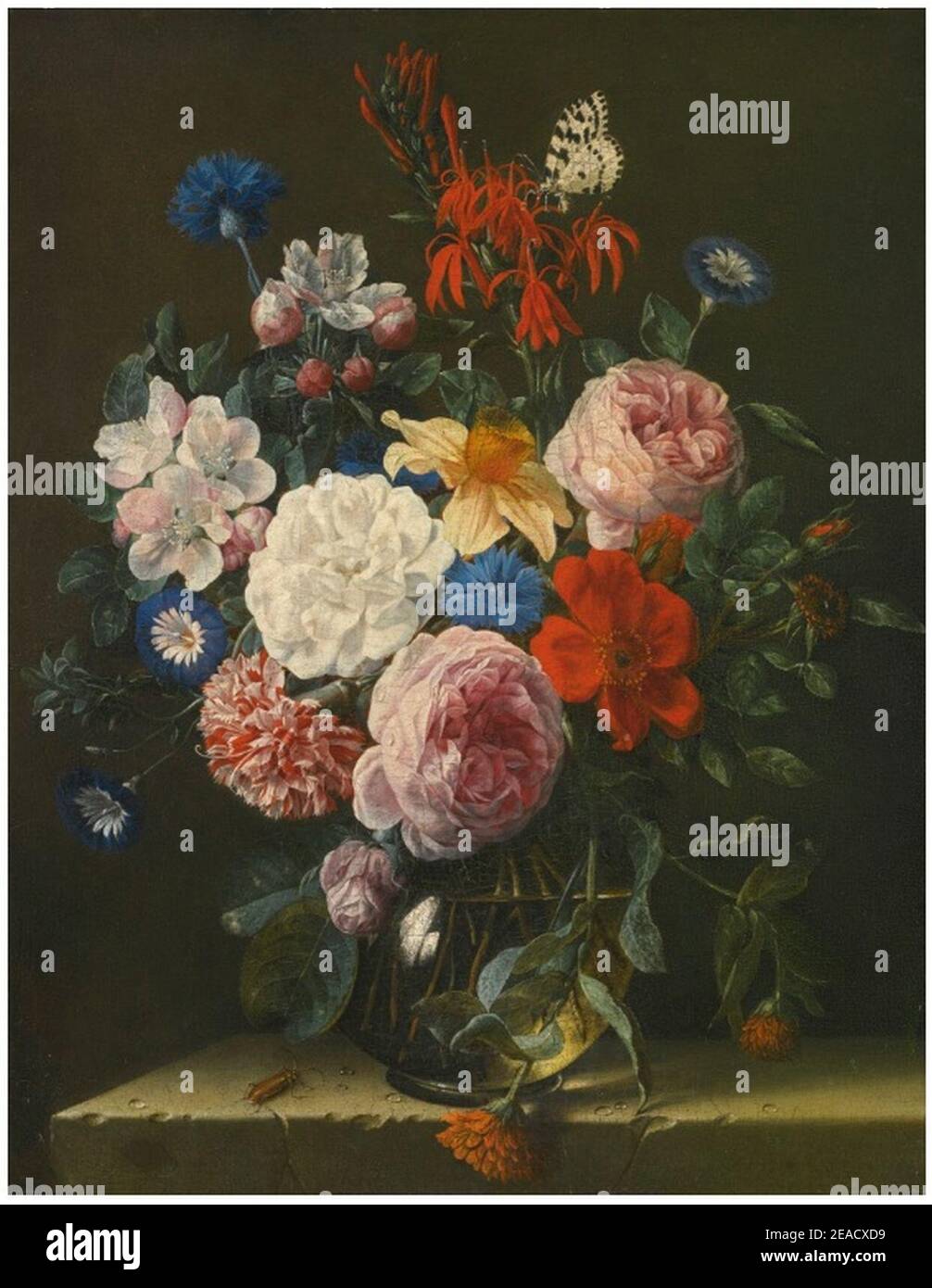 Nicolaes van Verendael - Stillleben aus rosa Rosen, Logelien, Apfelblüten,  Kornblumen, Narzissen, Nelken und blauem Convolvulus in einer Glasvase, mit  einem grauen Käfer und einer Elstermotte, alles auf einem Steinvorsprung  Stockfotografie - Alamy