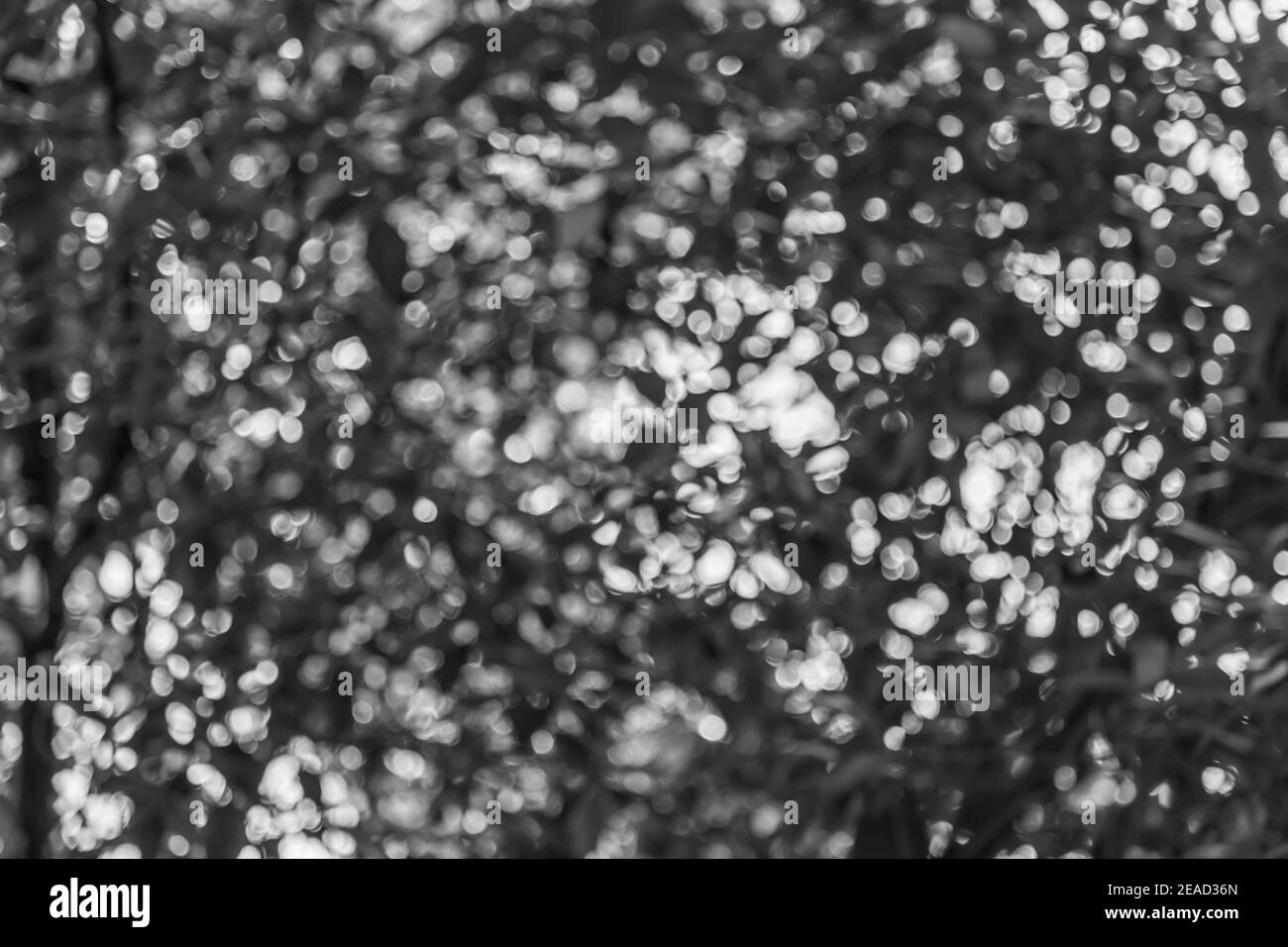 Grün und blau Bokeh von Baum und Himmel Hintergrund Stockfoto