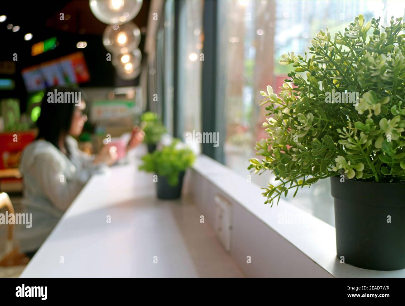 Nahaufnahme einer Topfpflanze mit verschwommener Frau, die Kaffee trinkt und Alleine entspannen Stockfoto