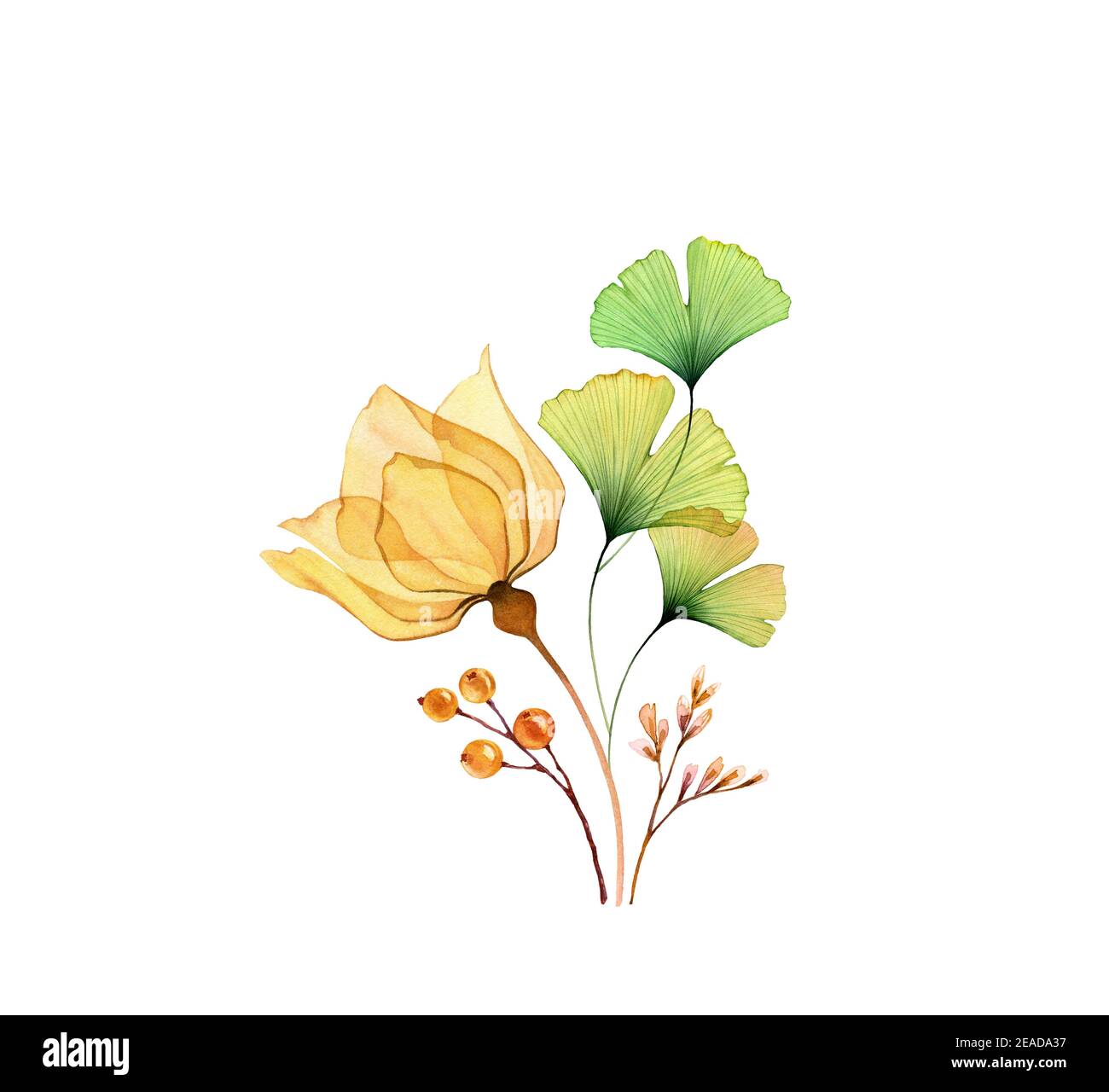 Aquarell-Blumenarrangement. Transparente gelbe Rose mit grünen Ginkgo-Blättern isoliert auf weiß. Handbemalter moderner Blumenstrauß. Botanische Abbildung Stockfoto