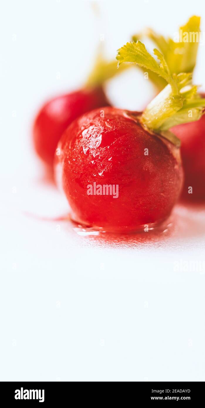 Nahaufnahme schöne kleine Rote Beete auf weißem Hintergrund, nasse Rote Bete auf wenig Wasser, natürliches Licht. Ausgewähltes Fokusbild. Stockfoto