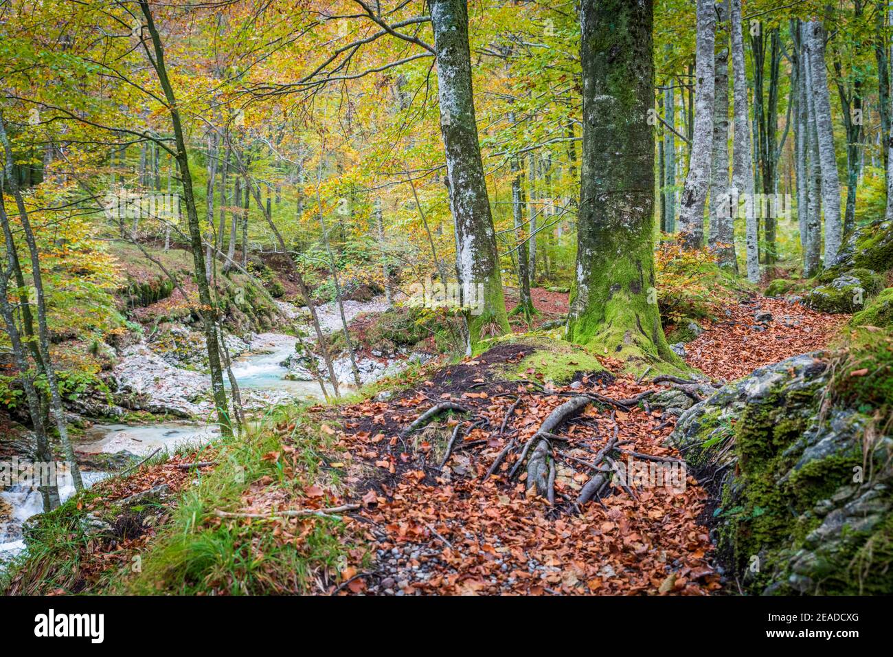 Herbstemotionen im Val d'Arzino. Zauberhaftes Friaul. Stockfoto