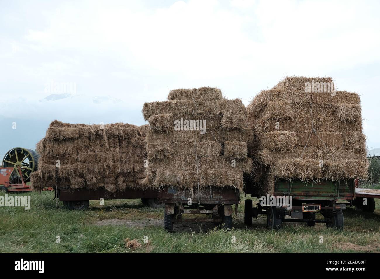 Drei Heulader auf dem Land - Weitwinkel Stockfoto