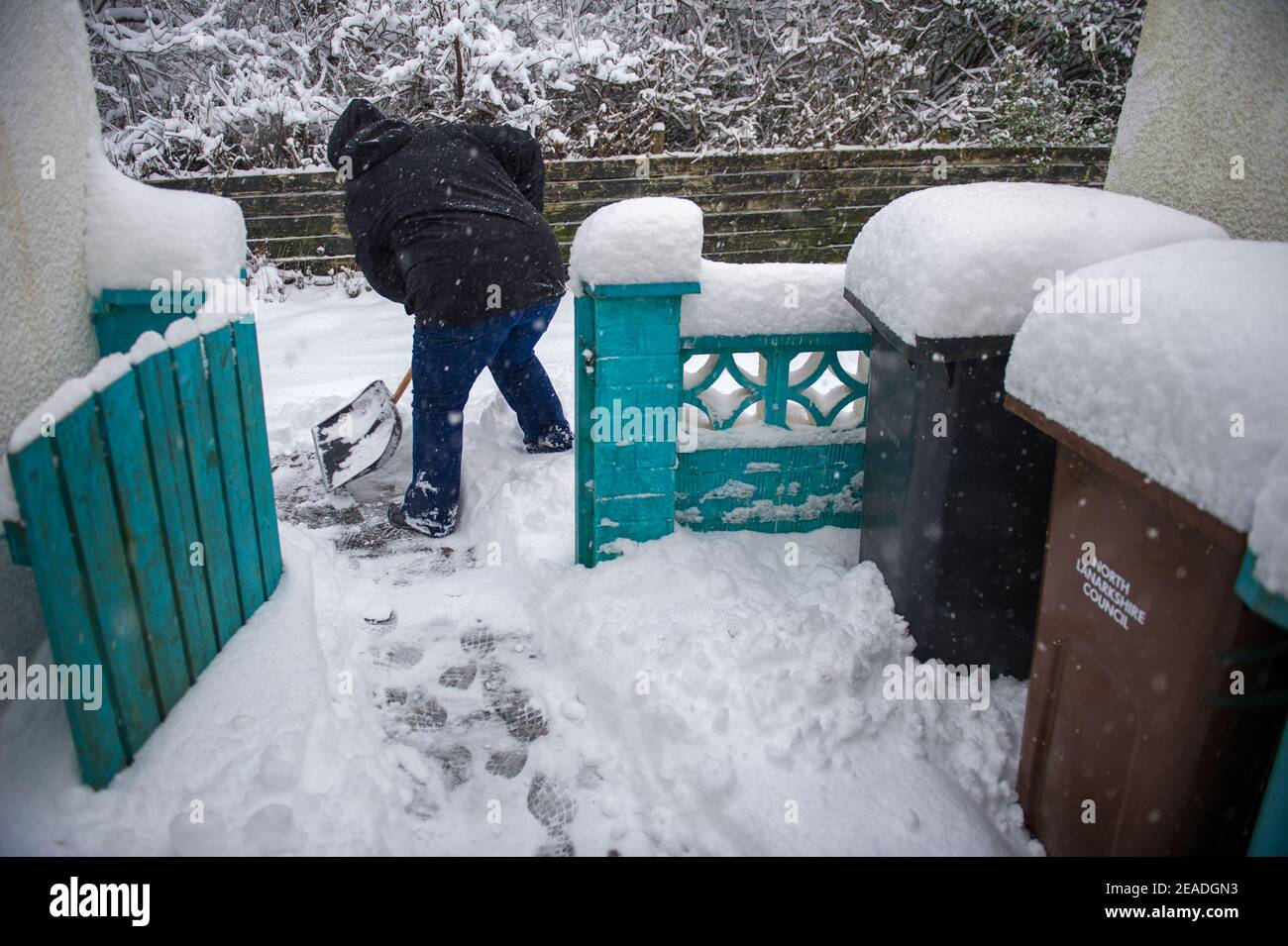 Glasgow, Schottland, Großbritannien. Februar 2021, 9th. Im Bild: Eine Person räumt einen Schnee auf einem Fußgängerweg mit einer Schneeschaufel angehäuft als Storm Darcy hat fast einen Fuß Schnee fallen über Nacht blockiert Wege und Pilling hoch auf Mauern, Tore, Wheelie-Behälter hinterlegt. In der vorherigen Nacht fiel auch Schnee, aber nicht so viel wie in der letzten Nacht. Die eisigen Temperaturen haben sich um die -1C gehalten, die letzte Nacht war die kälteste bisher. Quelle: Colin Fisher/Alamy Live News Stockfoto