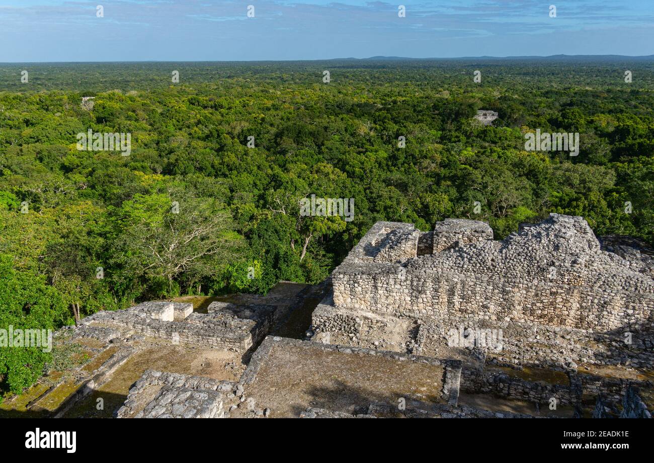 Maya Ruinen von Calakmul in Mexiko Stockfoto