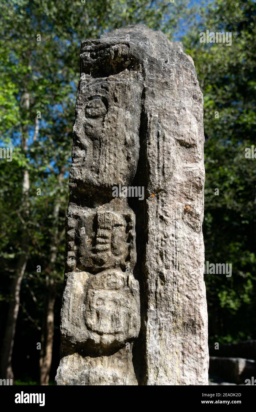 Maya Ruinen von Calakmul in Mexiko Stockfoto