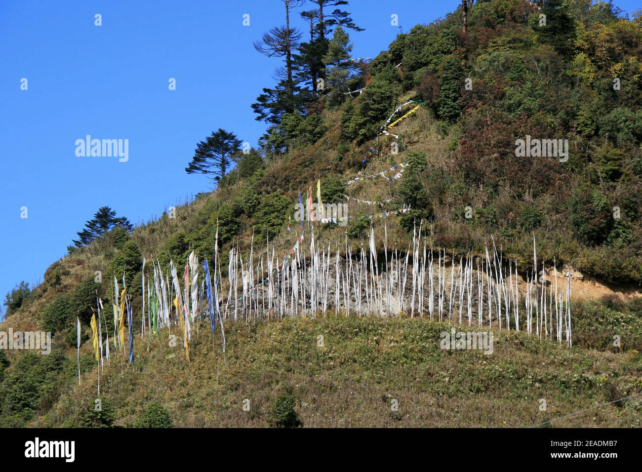 buddhistische Banner in bhutan Stockfoto