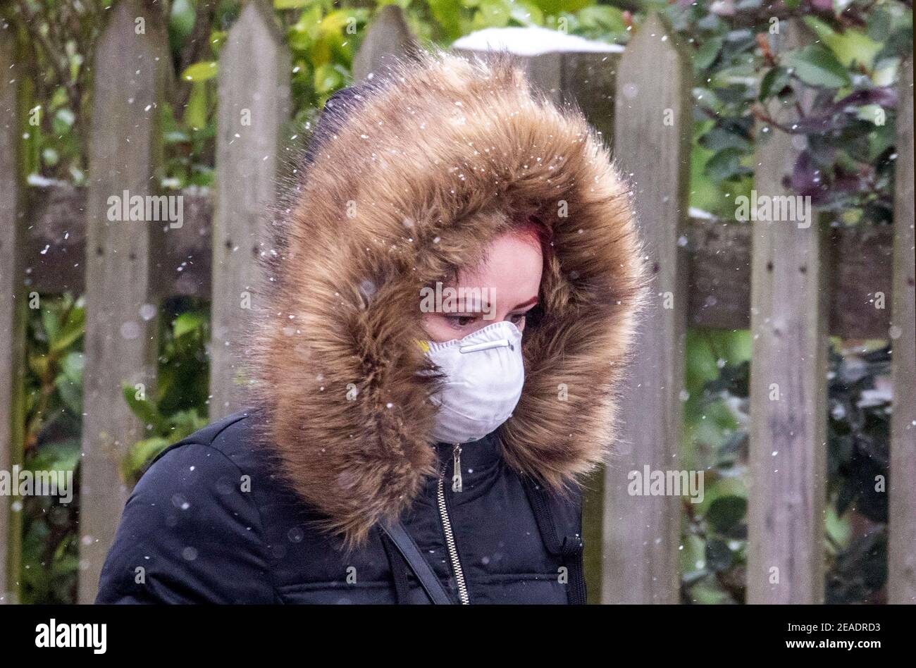 Warm eingewickelt in einen Pelzkragen 9.2.21 eiskalt Wetter und Schneeverwehungen in Highgate und Highgate Wäldern Pendler und Hundewanderer Wrappe Stockfoto