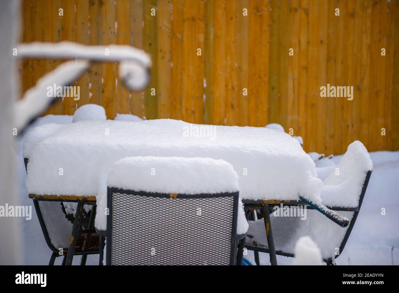 Glasgow, Schottland, Großbritannien. Februar 2021, 9th. Im Bild: Eine dicke Decke aus schweren Schneeteppichen Gärten auf und ab das Land von Zentral-Schottland nach Storm Darcy hat fast einen Fuß Schnee fallen über Nacht blockiert Wege und Pilling hoch an Wänden, Toren, Wheelie-Behälter. In der vorherigen Nacht fiel auch Schnee, aber nicht so viel wie in der letzten Nacht. Die eisigen Temperaturen haben sich um die -1C gehalten, die letzte Nacht war die kälteste bisher. Quelle: Colin Fisher/Alamy Live News Stockfoto