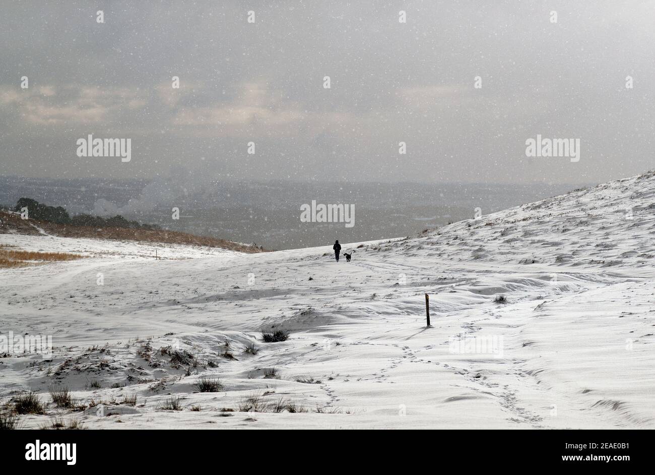 Newtown Linford, Leicestershire, Großbritannien. 9th. Februar 2021. Wetter in Großbritannien. Ein Mann geht mit einem Hund durch Neuschnee im Bradgate Park. Credit Darren Staples/Alamy Live News. Stockfoto