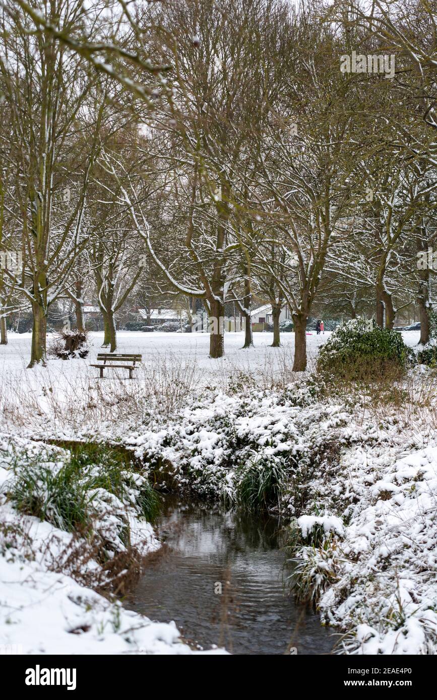 Priory Park in Southend on Sea, Essex, Großbritannien, mit Schnee von Storm Darcy, mit Bach von Pritle Brook, oder Prittlebrook durch Wald laufen Stockfoto