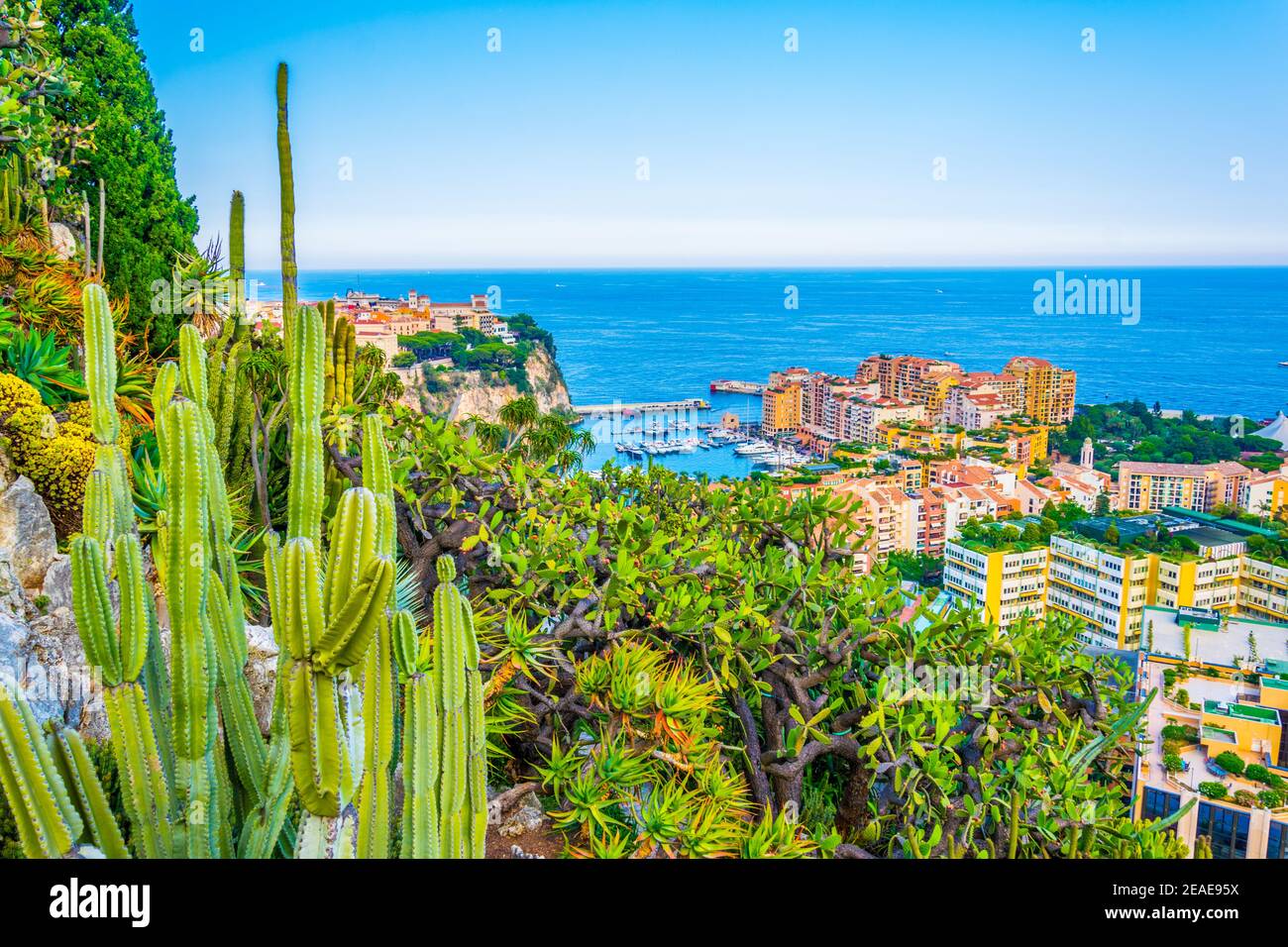 Luftaufnahme der Altstadt von Monaco und Hafen De fontvieille vom botanischen Garten jardin exotique Stockfoto