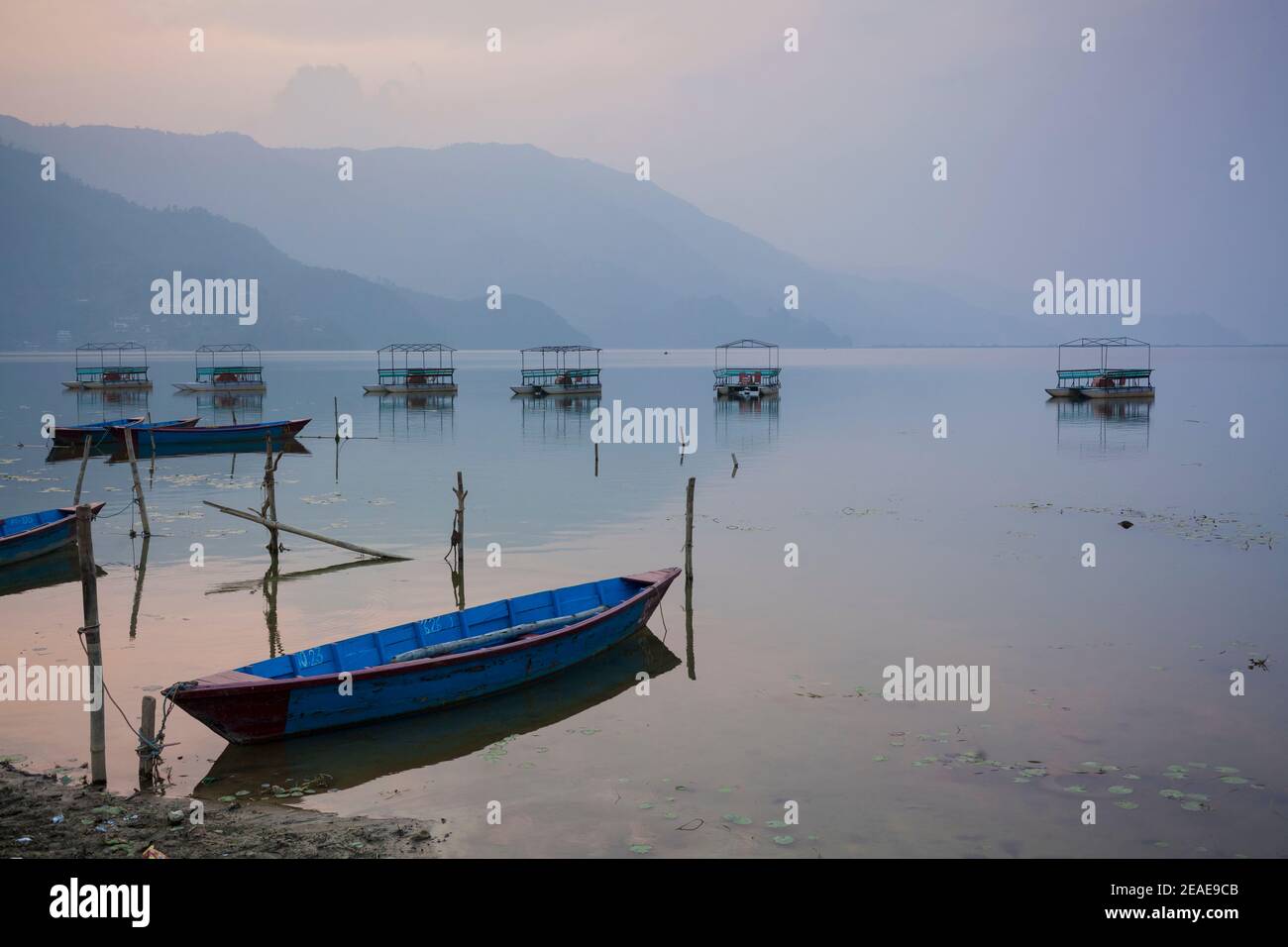 Bunte Holzboote in Phewa Lake. Pokhara. Nepal. Stockfoto