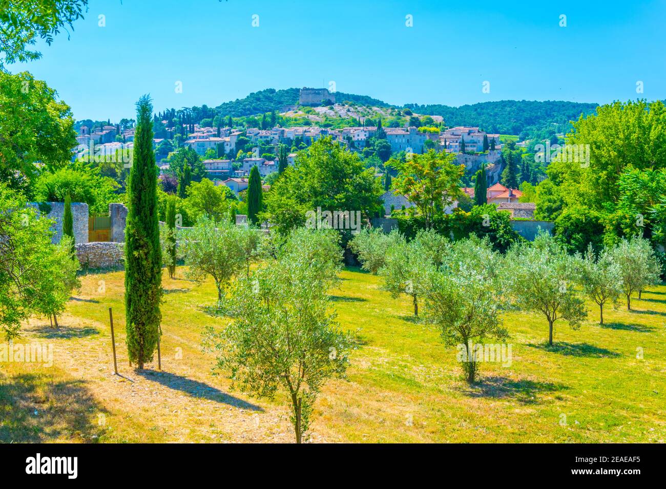 Obstgarten in Vaison-la-Romaine in Frankreich Stockfoto