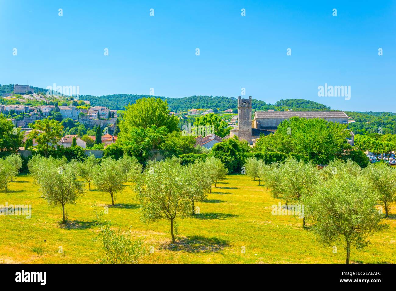 Obstgarten in Vaison-la-Romaine in Frankreich Stockfoto