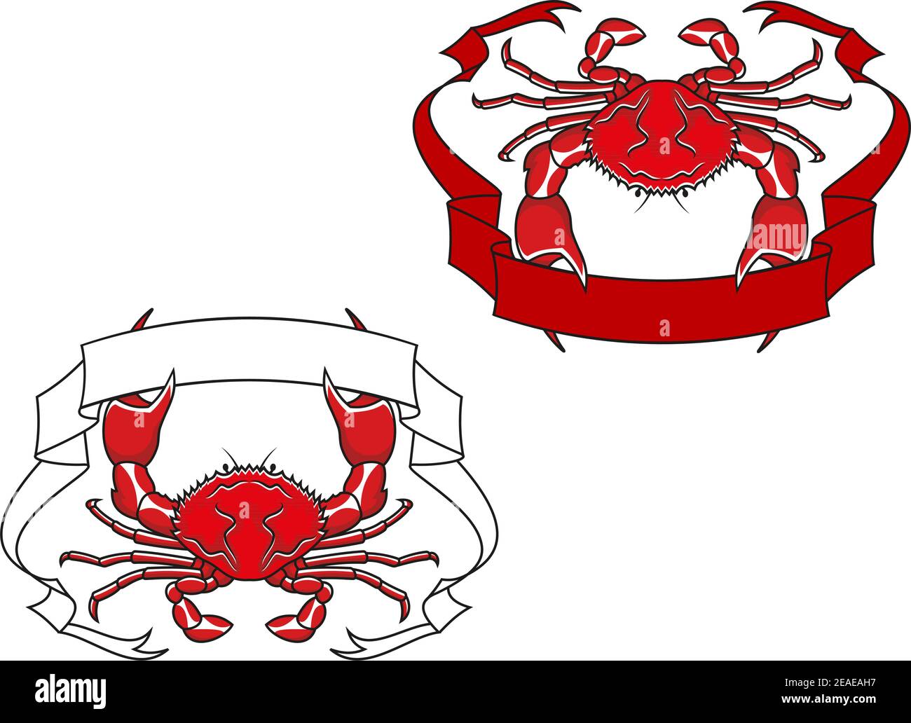 Rote Krabbe mit Band in Krallen für Maskottchen oder Emblem Design Stock Vektor