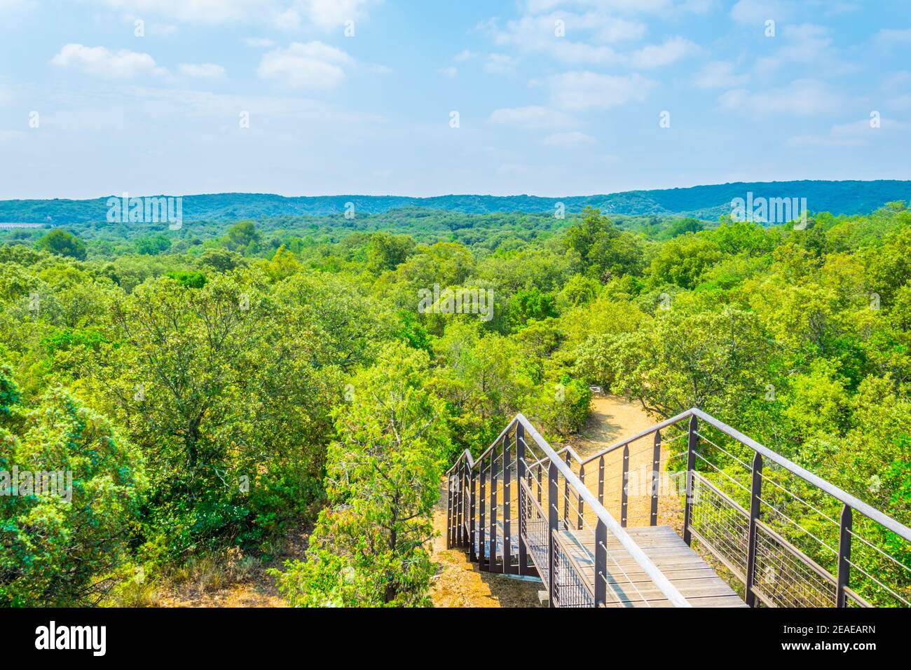 Ein Obstgarten in der Nähe von pont du gard in Frankreich Stockfoto