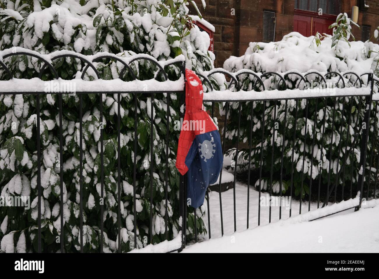 Glasgow, Großbritannien, am 9. Februar 2021. Spiderman wirft sein Fell im Schnee. Foto: Jeremy Sutton-Hibbert/ Alamy Live News. Stockfoto