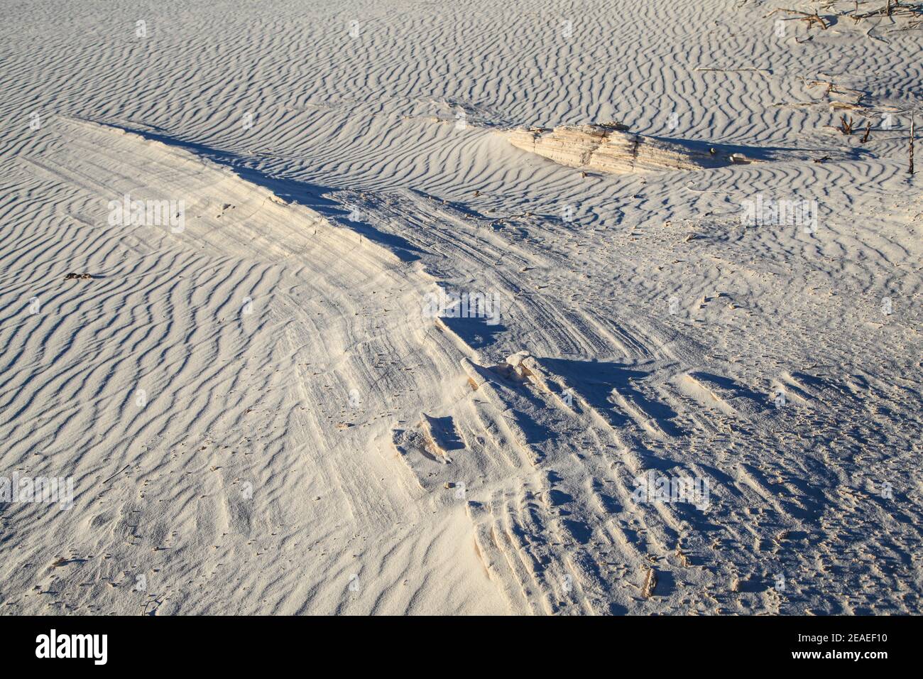 Wandern in der Wüstenlandschaft der Gipsdünen im White Sands National Monument in New Mexico, USA. Stockfoto