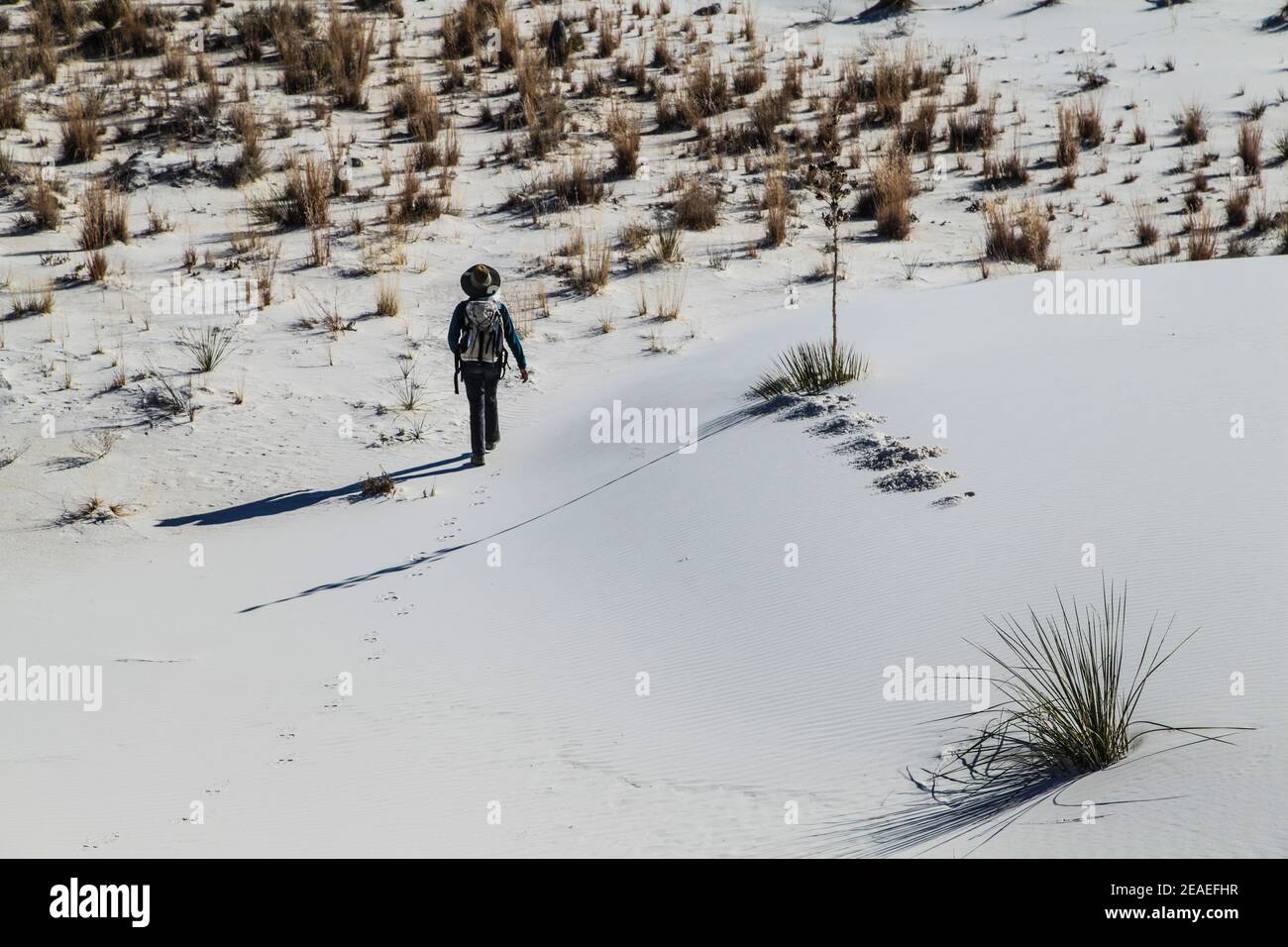 Wandern in der Wüstenlandschaft der Gipsdünen im White Sands National Monument in New Mexico, USA. Stockfoto