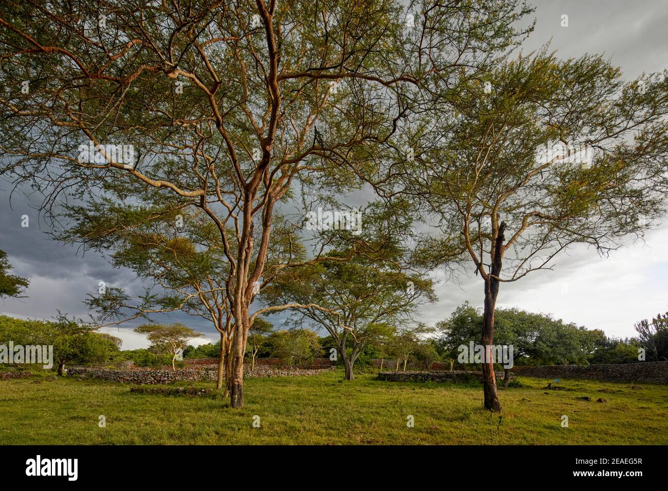Cattle Kraal am Thimlich Ohinga Komplex (UNESCO) in Kenia, Afrika Stockfoto