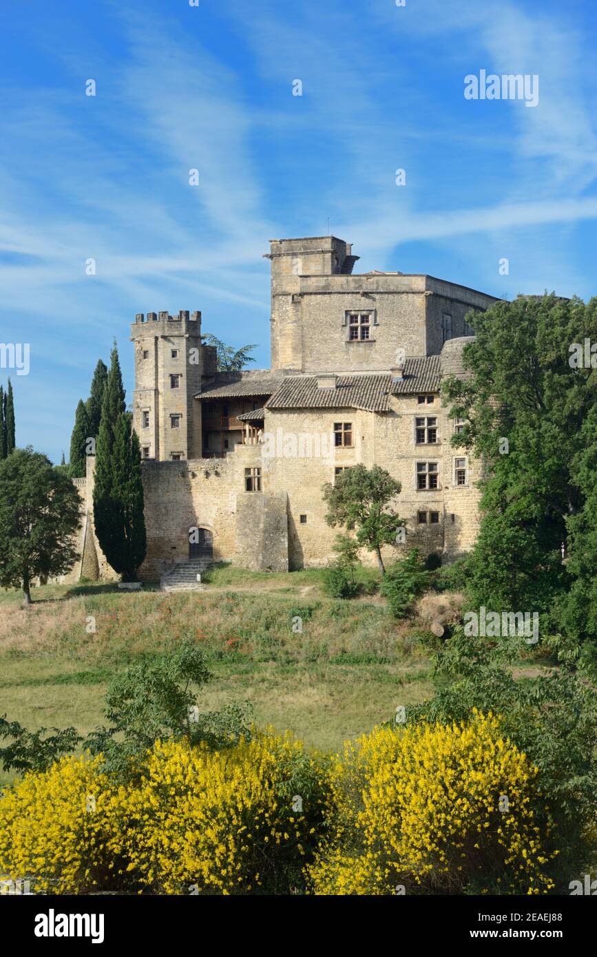 Château Lourmarin oder Neorenaissance Schloss oder Herrenhaus & Blumenbeet Ginster Luberon Parc Naturel Régional Provence Frankreich Stockfoto