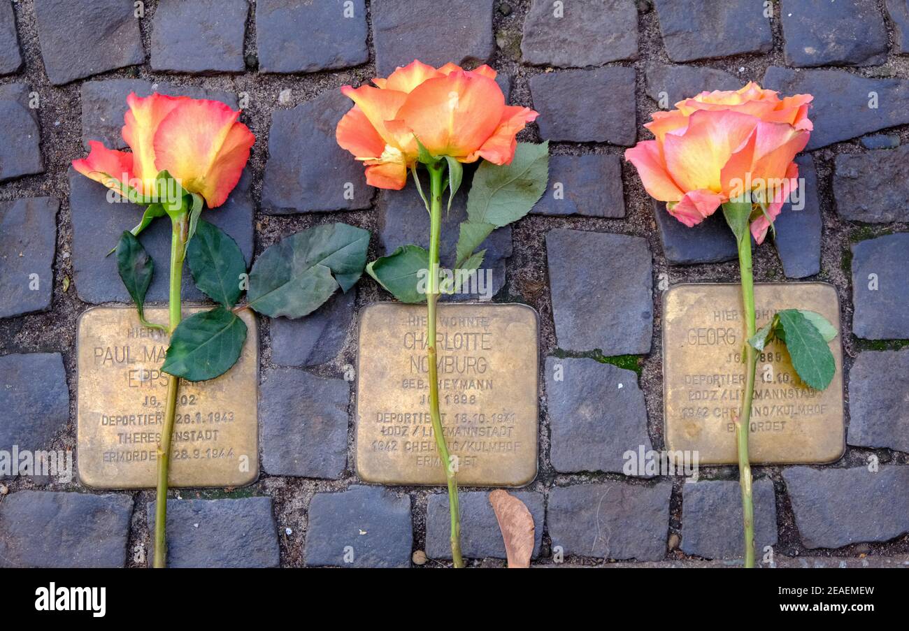 Rosen auf Stolperstein Gedenkstätten für Holocaust-Opfer in Berlin gelegt Stockfoto