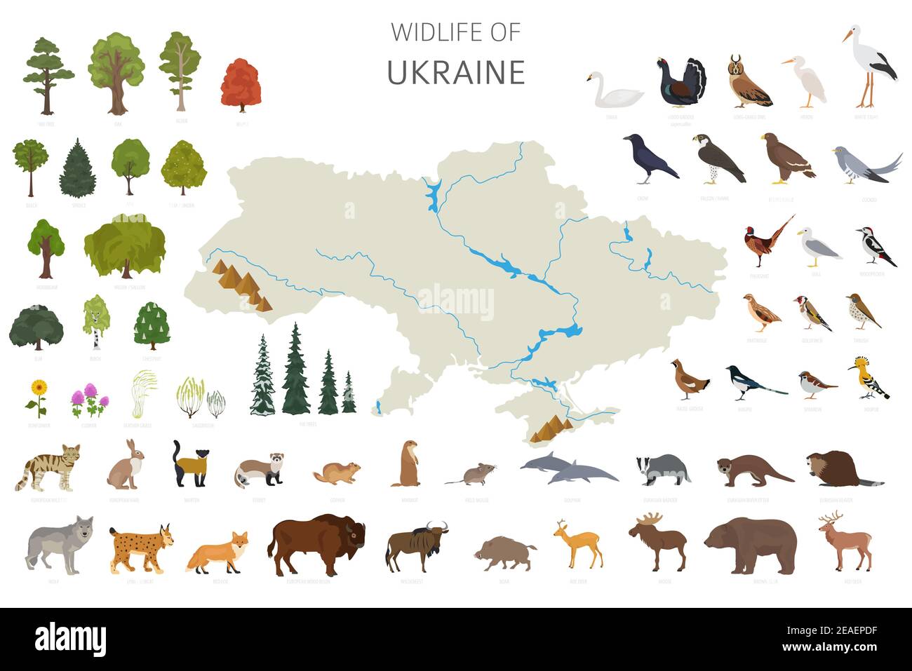 Flaches Design der Ukraina Tierwelt. Tiere, Vögel und Pflanzen Konstruktor Elemente isoliert auf weißem Set. Erstellen Sie Ihre eigene Geographie Infografiken collectio Stock Vektor