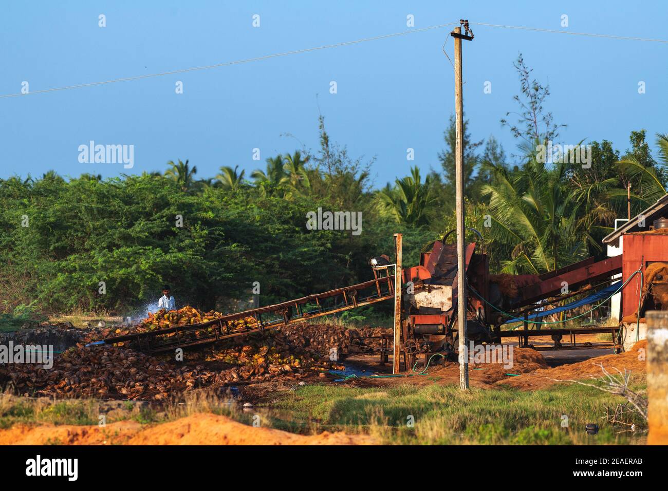 indischer Bauer wässern Kokosnussschale, um Kokosirenseil zu machen, die Ist aus Naturfaser, die aus äußeren extrahiert wird Kokosnussschale Stockfoto