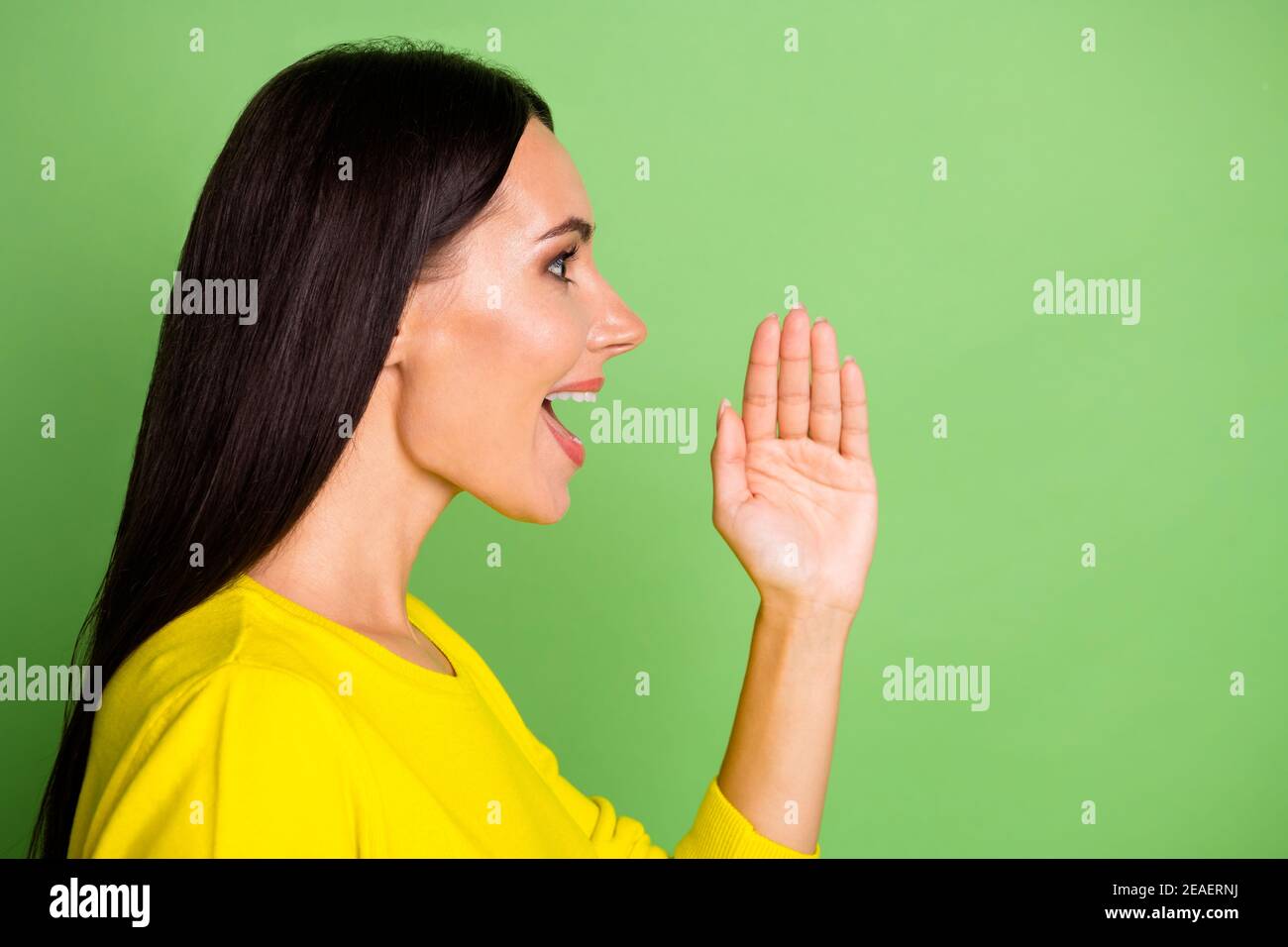 Profilfoto von erstaunt Dame Arm in der Nähe offenen Mund schreien Tell tragen Pullover isoliert auf grünem Hintergrund Stockfoto