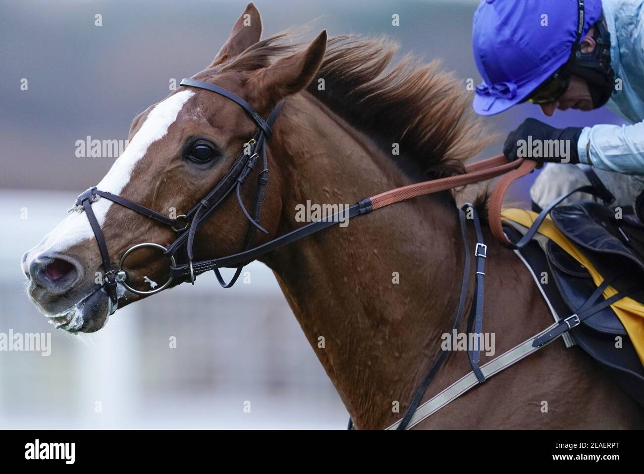 Datei Foto vom 19-12-2020 von Tom O'Brien Reiten nicht so Sleepy. Ausgabedatum: Dienstag, 9. Februar 2021. Stockfoto