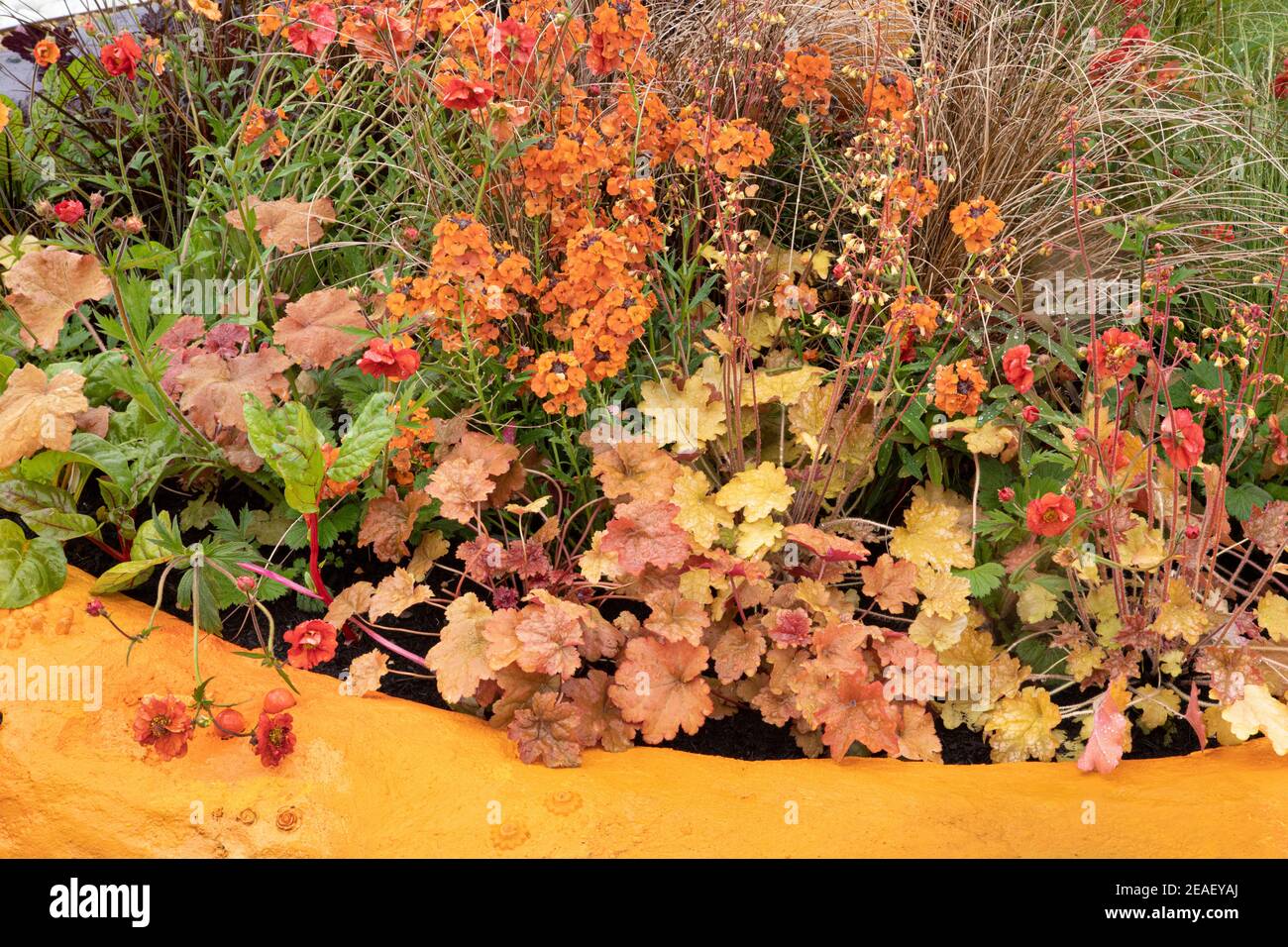 Farbige Themenränder im Macmillan Legacy Garden in Malvern Frühlingsfest 2019 Stockfoto