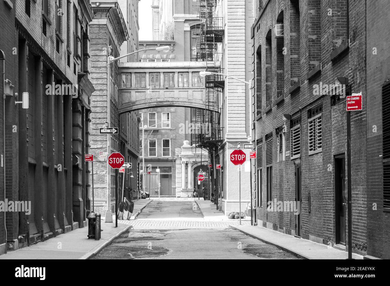 Rote Schilder in einer schwarz-weißen Stadtlandschaft am Kreuzung der Jay und Staple Straßen in der Tribeca Nachbarschaft Von New York City NYC Stockfoto