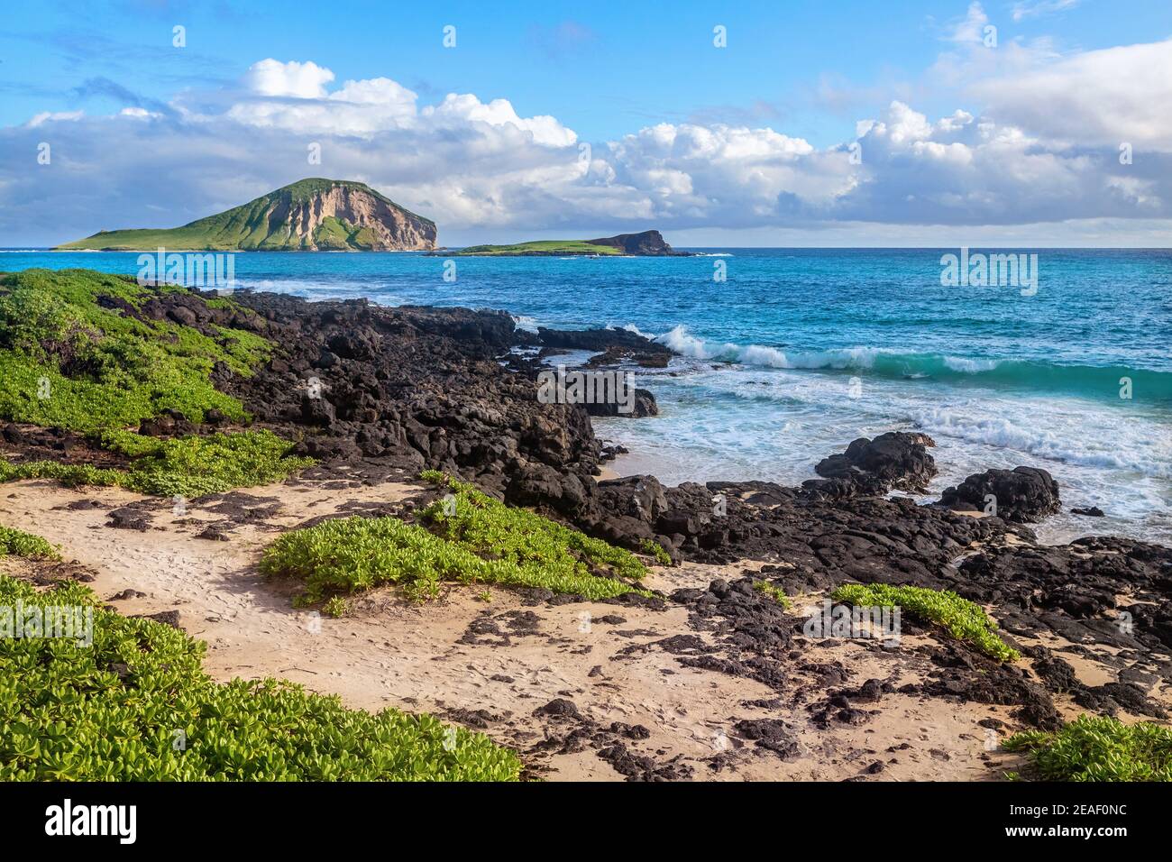 Wellen brechen auf Felsen in der Nähe von Macapuu Strand, Oahu, Hawaii Stockfoto