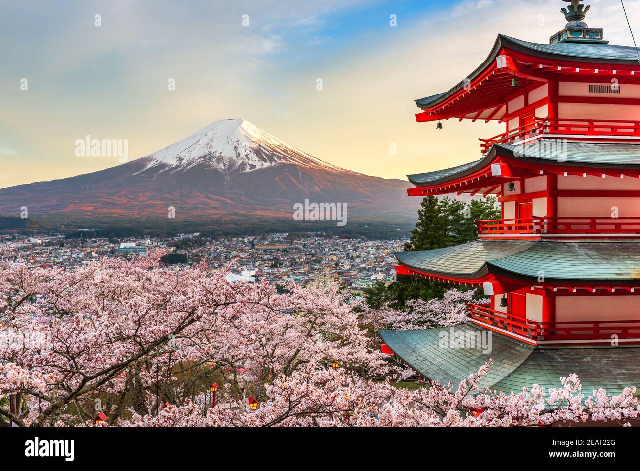 Fujiyoshida, Japan am Chureito Pagode und Mt. Fuji im Frühjahr mit Kirschblüten. Stockfoto