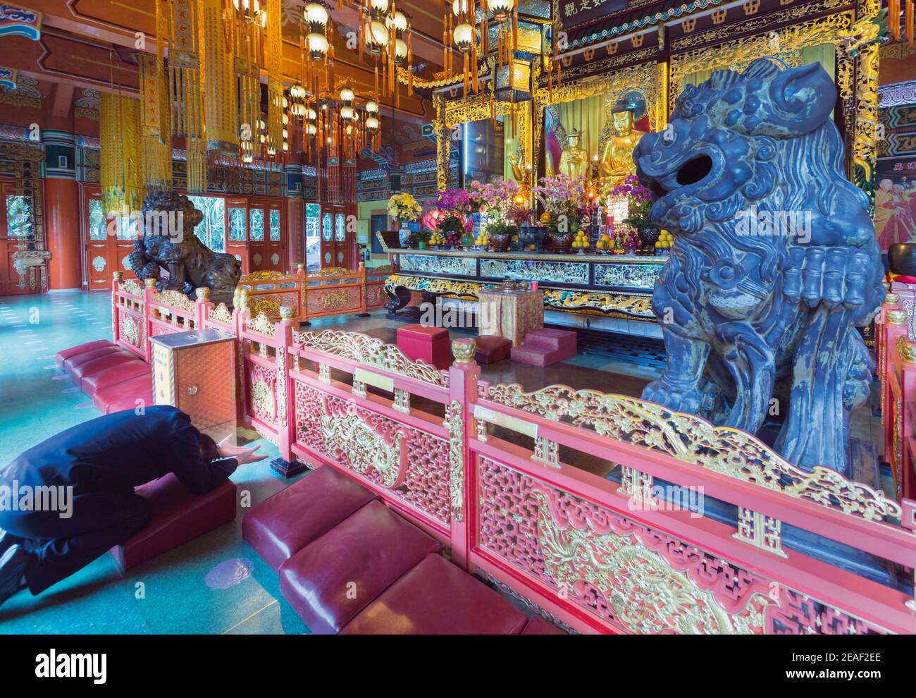 Hongkong, China. Das Buddhistische Po Lin Kloster, Lantou Insel. Mann, der vor Buddha betet. Stockfoto