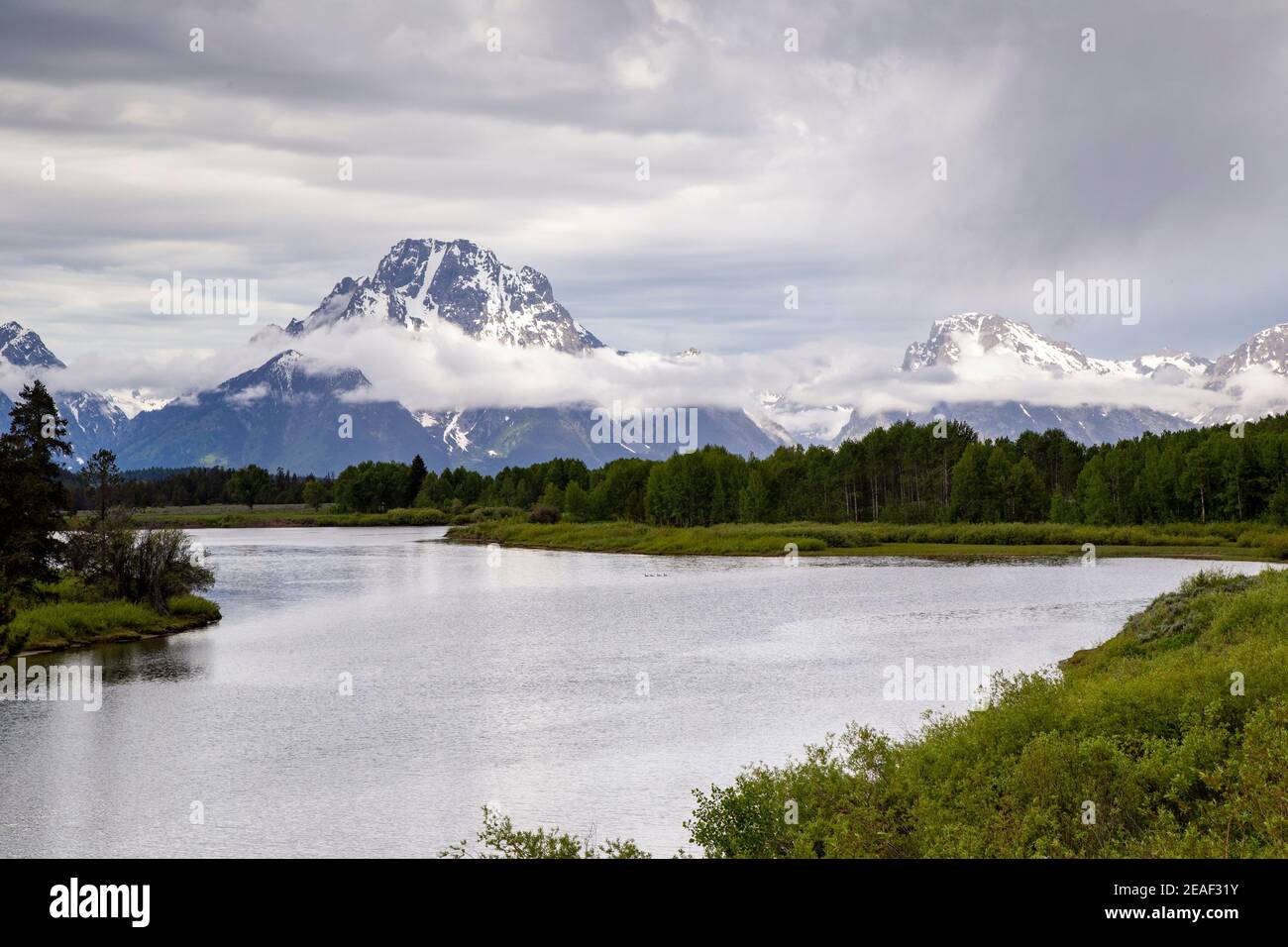 Mount Moran von Oxbow Bend im Grand Teton National Park Stockfoto