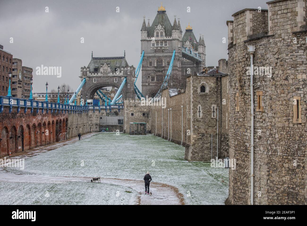 London, Großbritannien. Februar 2021, 9th. Eine Mitarbeiterin geht mit ihren Hunden in den schneebedeckten Graben um den Tower of London, der derzeit mit Schnee bedeckt ist, als während des Sturms Darcy in London eisige Temperaturen eintrafen. London, England. 09th. Februar 2021 Credit: Jeff Gilbert/Alamy Live News Stockfoto