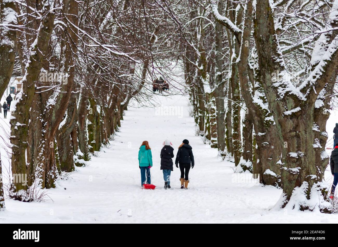 Glasgow, Schottland, Großbritannien. 9th. Februar 2021. UK Wetter: Drei Menschen, die nach heftigem Schneefall vom Sturm Darcy auf einem von Bäumen gesäumten Pfad im Queen's Park wandern. Kredit: Skully/Alamy Live Nachrichten Stockfoto