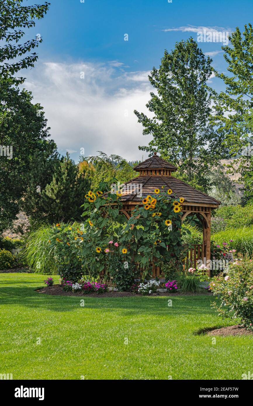 Erholungsgebiet in einem Park mit Bänken und Holzpavillon Unter Sonnenblumen Stockfoto