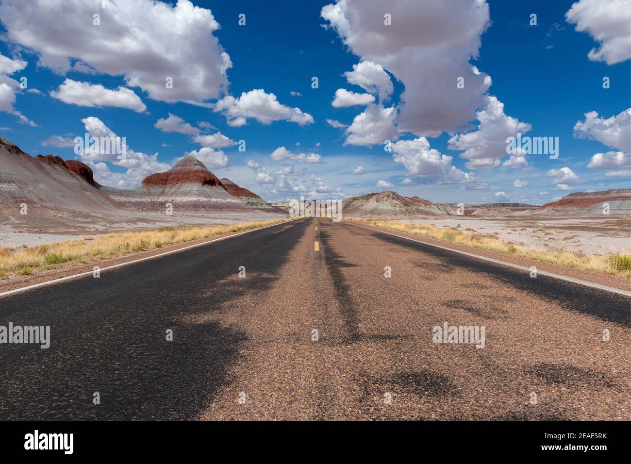 Landschaftlich schöner Blick auf eine Straße im Petrified Desert National Park, im Bundesstaat Arizona, USA; Konzept für Reisen in Amerika und Roadtrip Stockfoto
