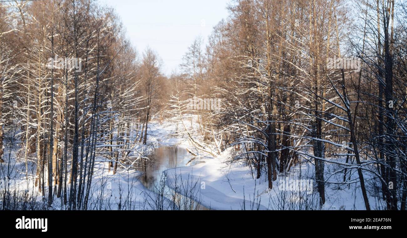 Der Strom im Winterwald auf dem Hintergrund blauer Himmel mit Wolke. Schöne Landschaft am Sonnentag Stockfoto