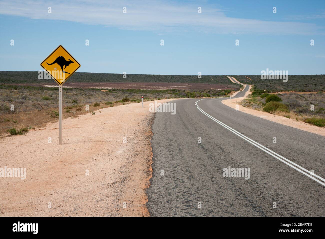 Straße in der Nähe der Shark Bay in South Western Australia mit Warnschild für Känguru Stockfoto