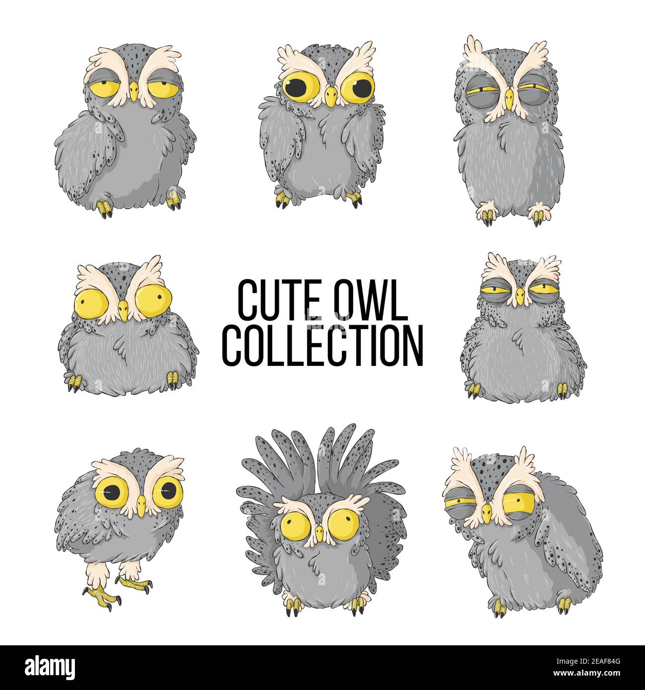 Small Grumpy Owl Stockfotos Und Bilder Kaufen Alamy