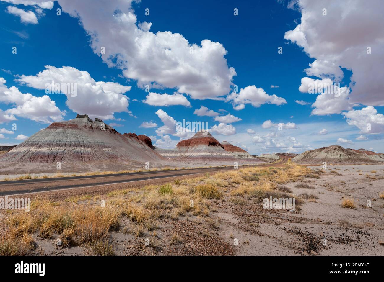 Szenische Ansicht der Formation bekannt als die Teepes, im Petrified Desert National Park, im Bundesstaat Arizona, USA; Konzept für Reisen in Amerika A Stockfoto