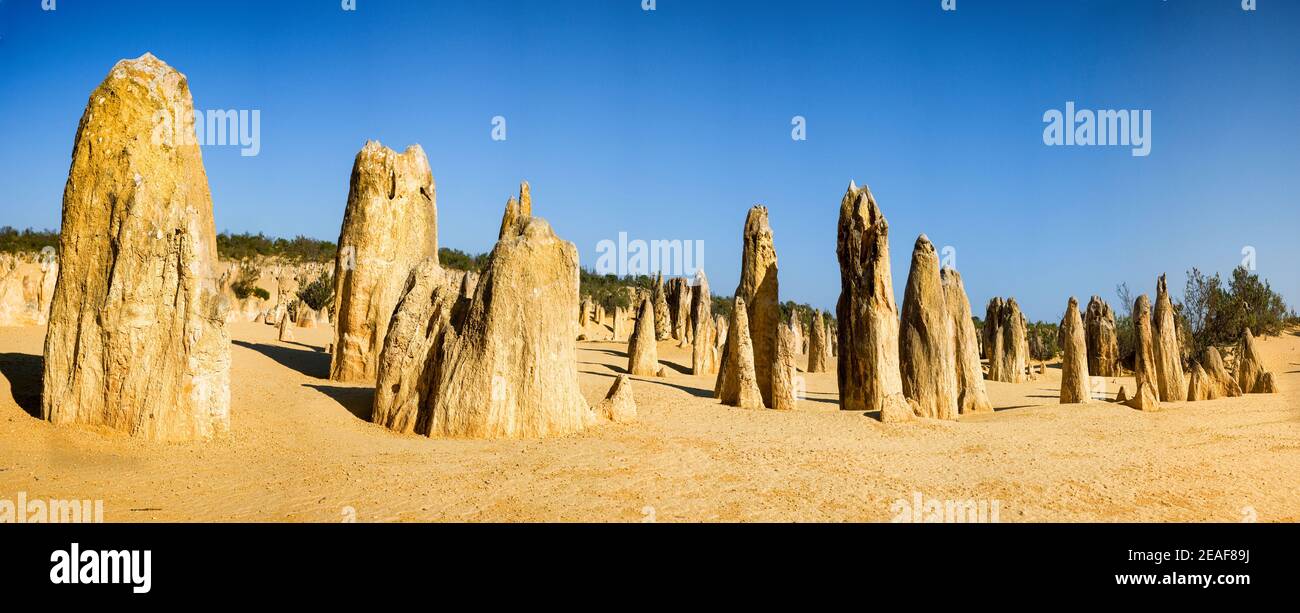 Die Pinnacles Wüste im Nambung Nationalpark bei Cervantes in Westaustralien Stockfoto