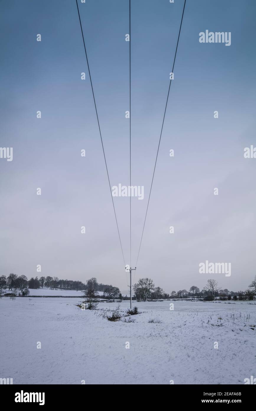 Telegraph Drahters Carrying Electricity, Clitheroe, Ribble Valley, Lancashire, Großbritannien. Stockfoto