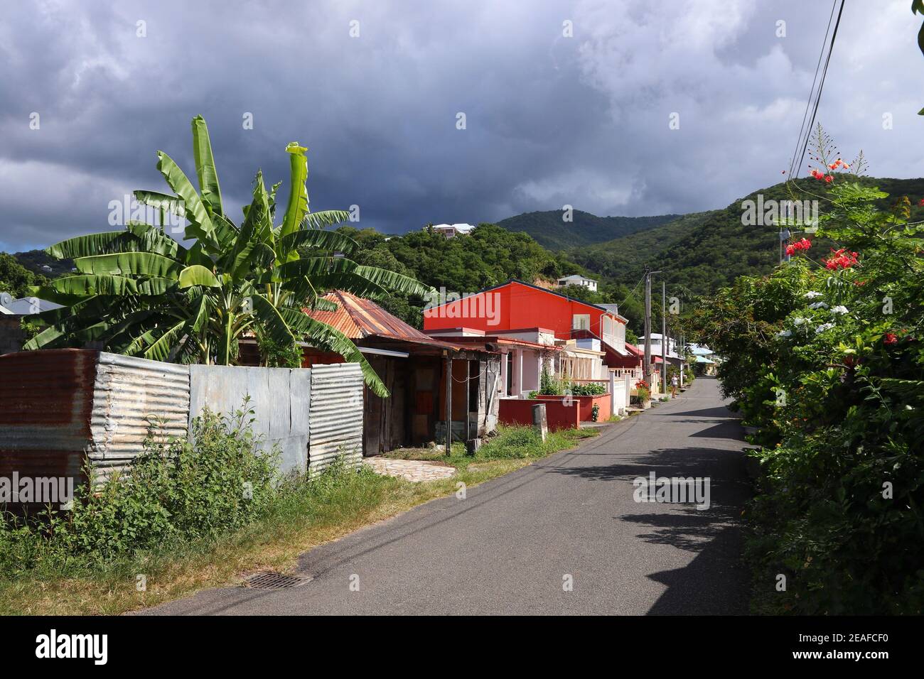 Deshaies Stadt, Guadeloupe. Typische Ortsstraße auf der Insel Basse-Terre. Stockfoto
