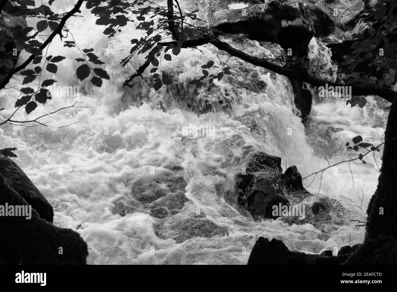 Wasser, das über Felsen stürzt: Fluss Brathay, Great Langdale, Lake District, England Stockfoto